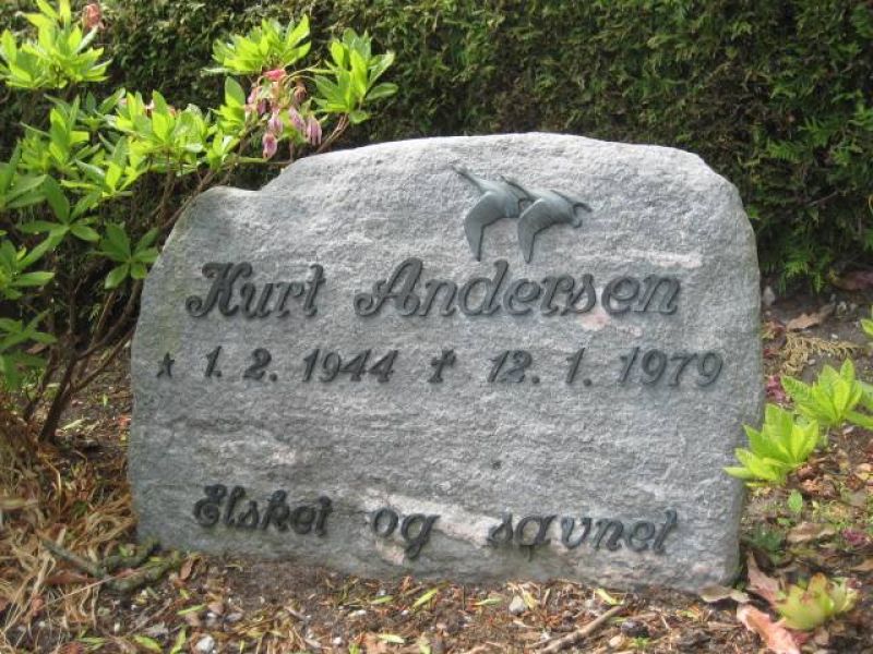 Kurt Andersen.jpg